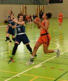 1LNF Bisons VS International Genève 15.3.25