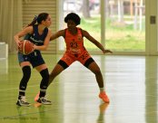 1LNF Bisons VS International Genève 15.3.25