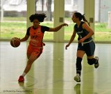 1LNF Bisons VS International Genève 15.3.25