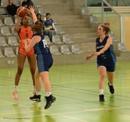 1LNF Bisons VS International Genève 15.3.25